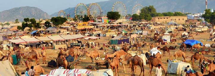 PUSHKAR MELA