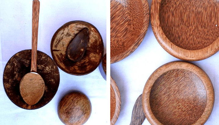 Coconut Craft