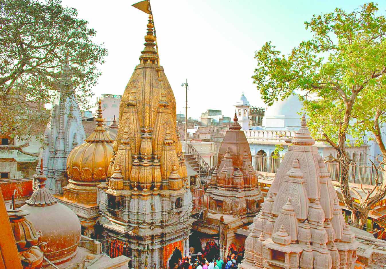 The Kashi Vishwanath Temple