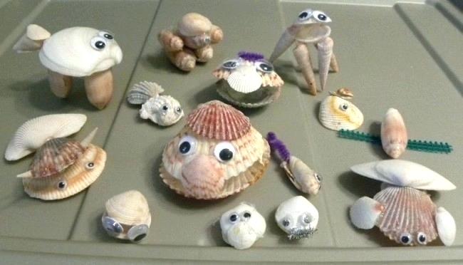 Shell Craft