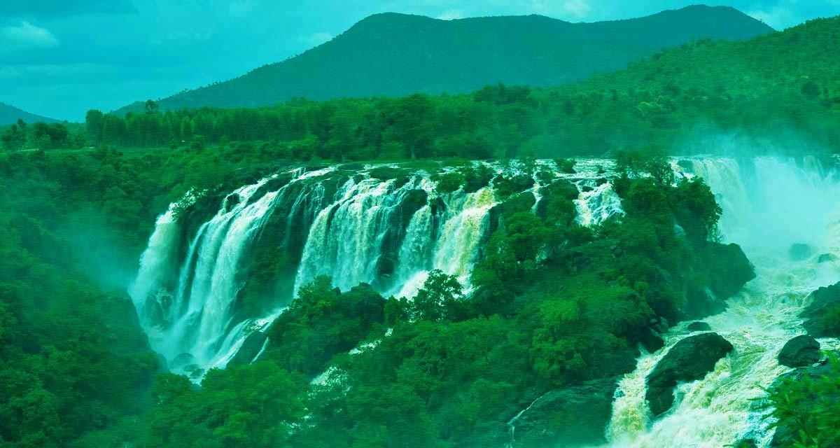 Shivanasamudra Falls