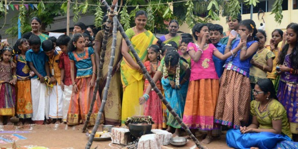 Cooking Pongal in a pot