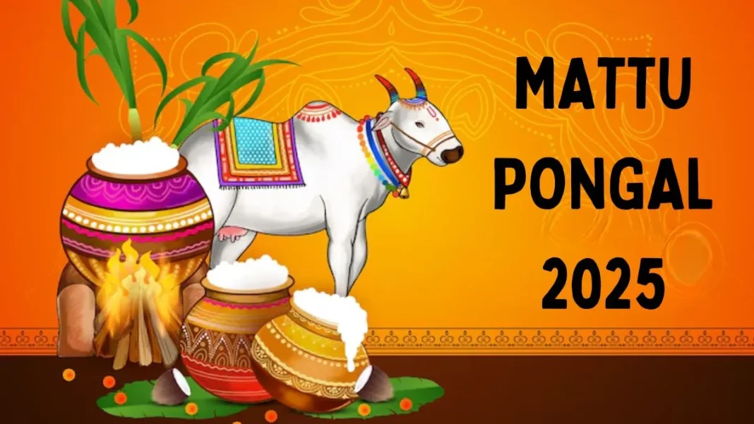 MATTU PONGAL