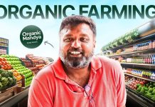 organic mandya